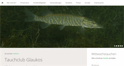 Desktop Screenshot of glaukos.ch