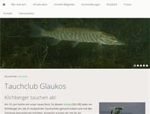 Tablet Screenshot of glaukos.ch